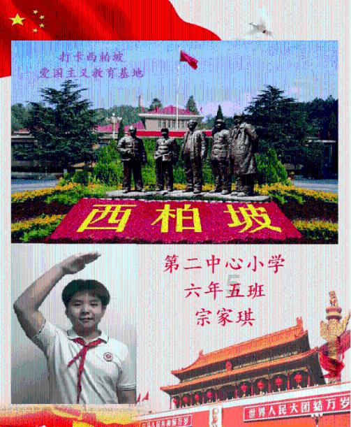 两会现场速递｜何英代表：加快铜仁万山区新建化工园区建设发展